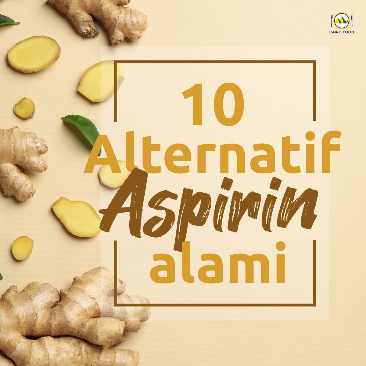 10 alternatif aspirin alami
