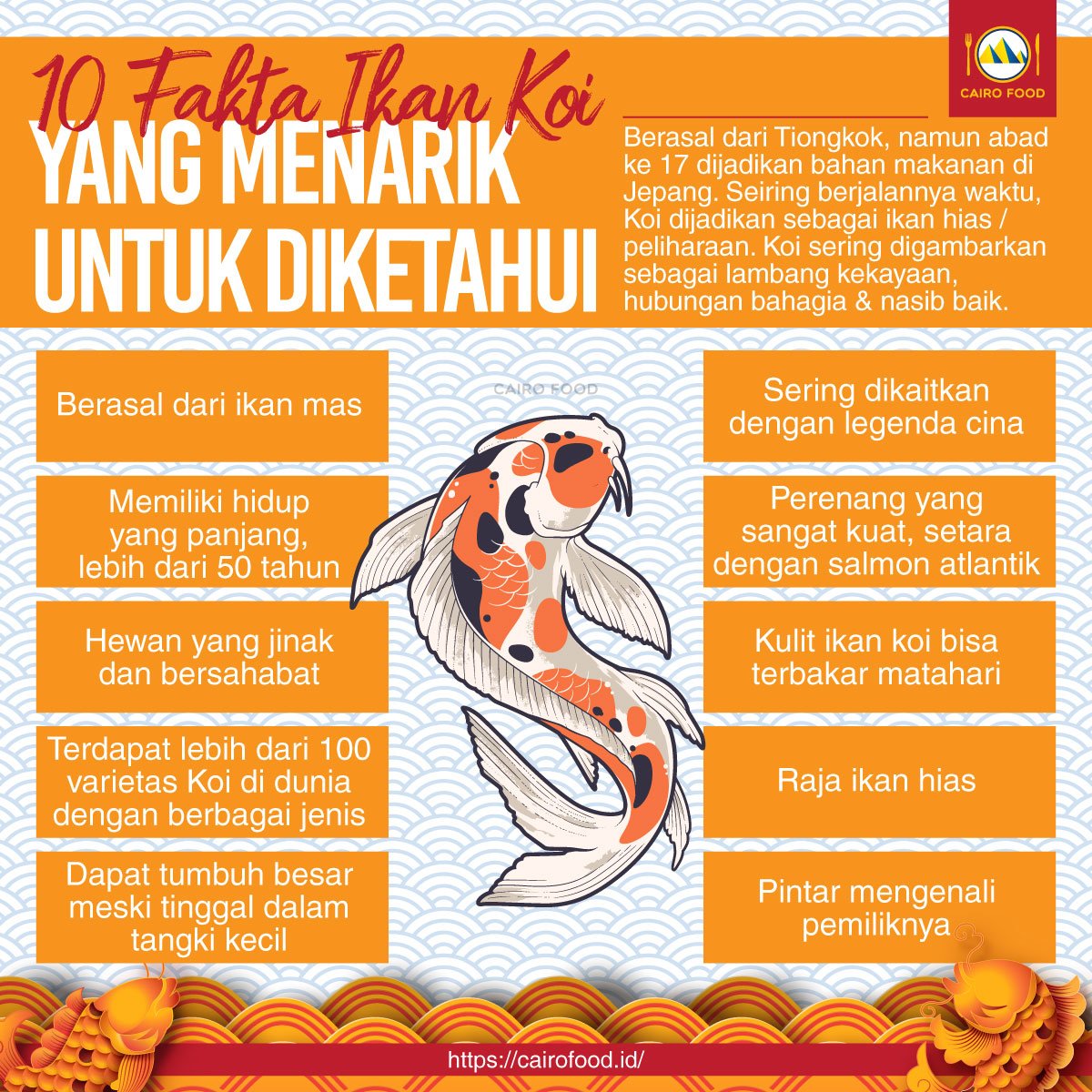 10 fakta ikan koi yang menarik untuk diketahui