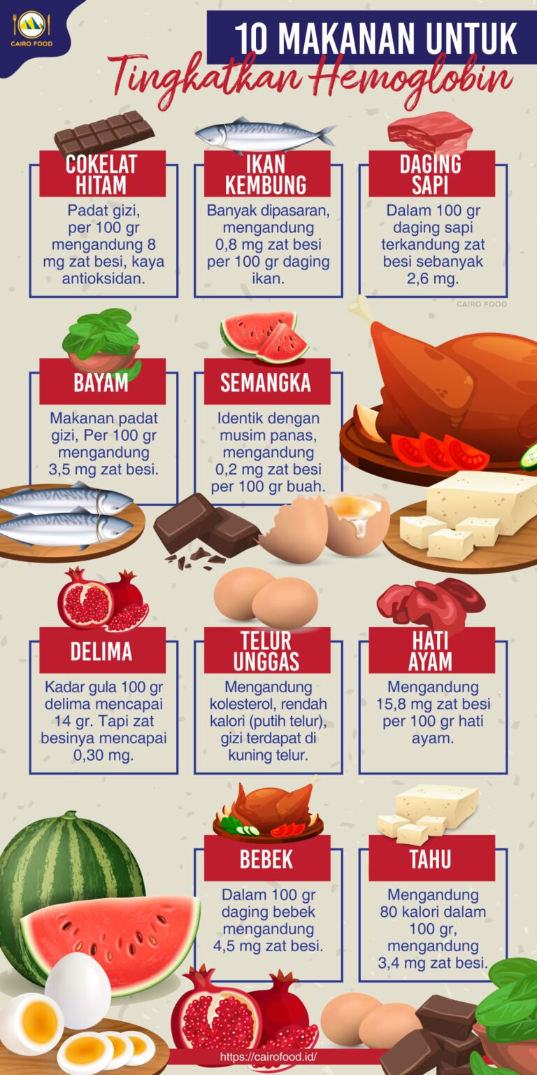 10 Makanan Untuk Meningkatkan Hemoglobin Cairo Food