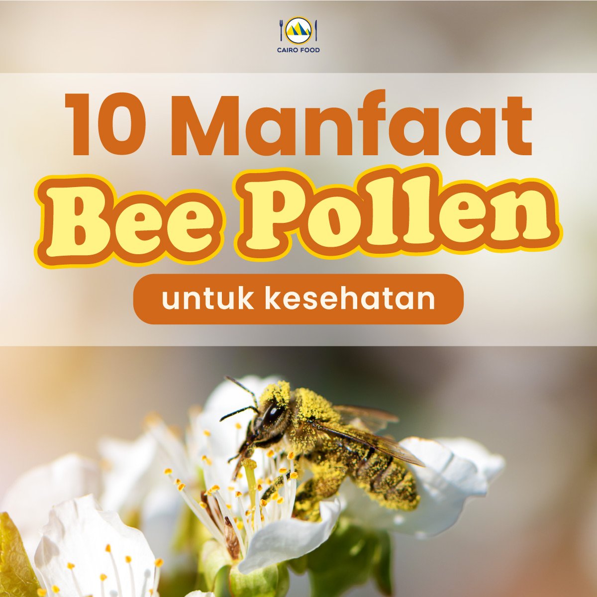 10 manfaat bee pollen untuk kesehatan