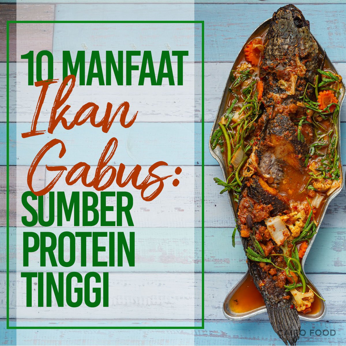 10 manfaat ikan gabus sumber protein tinggi