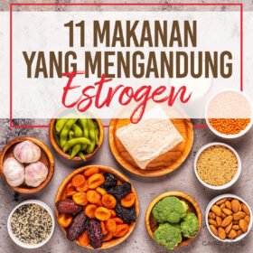 11 Makanan Yang Mengandung Estrogen