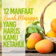 12 manfaat buah mangga yang harus kamu ketahui