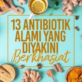 13 Antibiotik Alami Yang Diyakini Berkhasiat