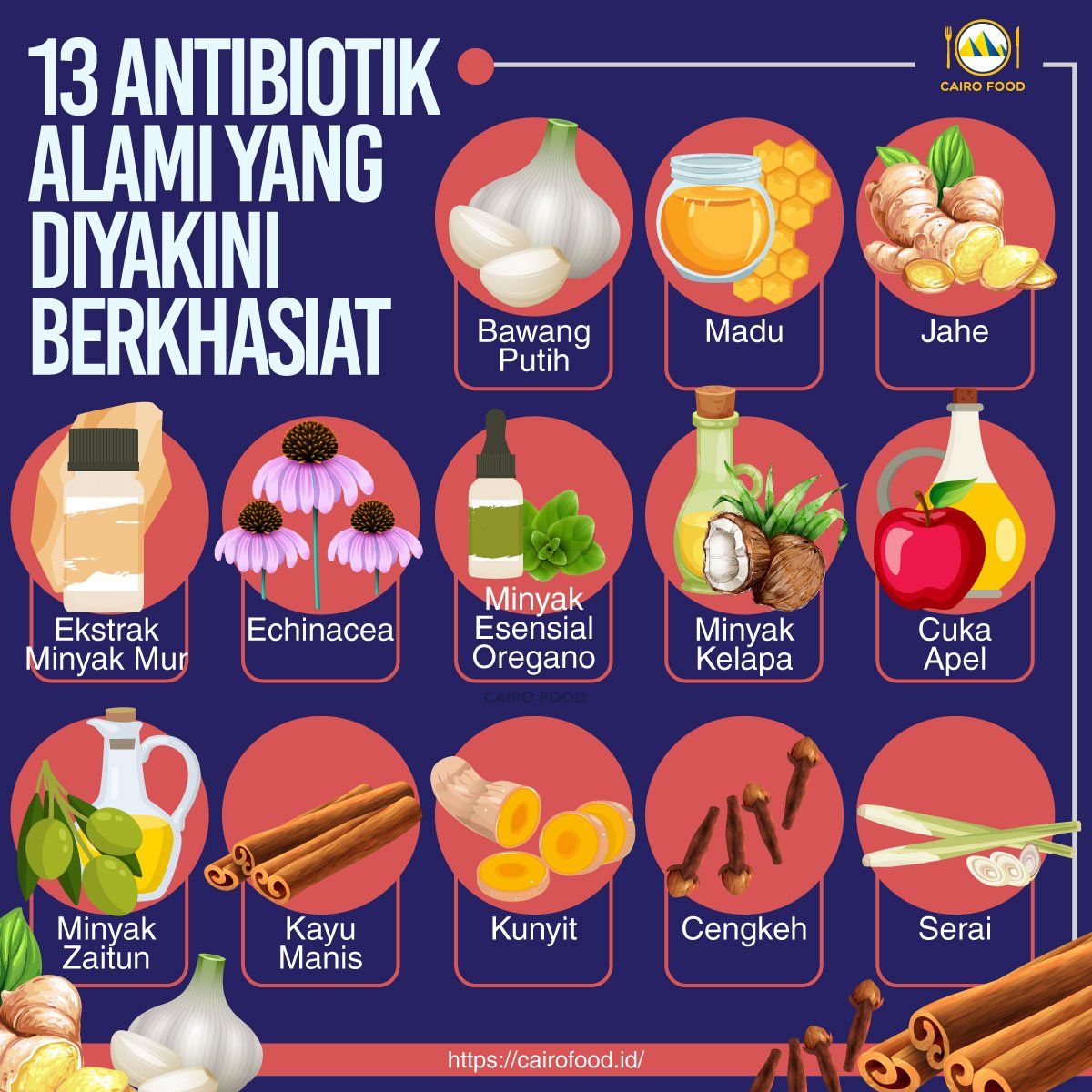 13 antibiotik alami yang diyakini berkhasiat