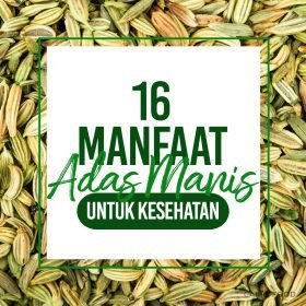 16 Manfaat Adas Manis Untuk Kesehatan