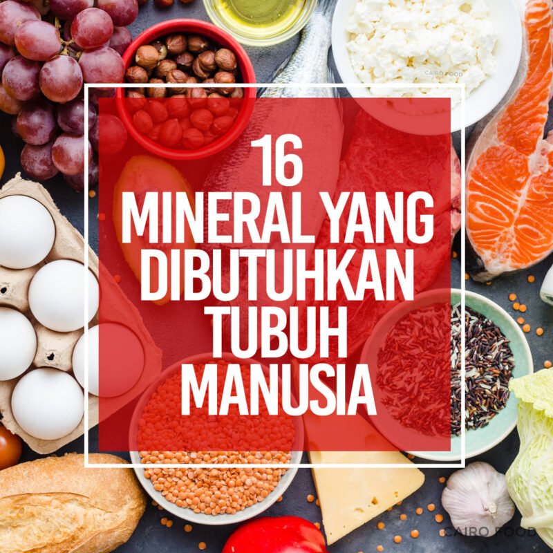16 mineral yang dibutuhkan tubuh manusia