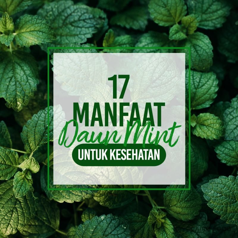 17 manfaat daun mint untuk kesehatan