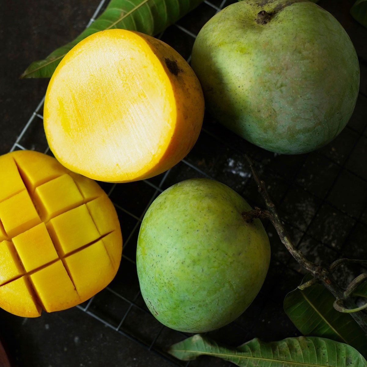 18 jenis varietas buah mangga beserta keunggulannya mangga kweni