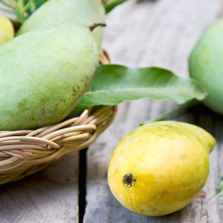 18 Jenis Varietas Buah Mangga Beserta Keunggulannya 