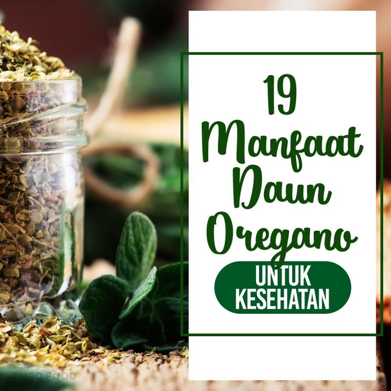 19 manfaat daun oregano untuk kesehatan
