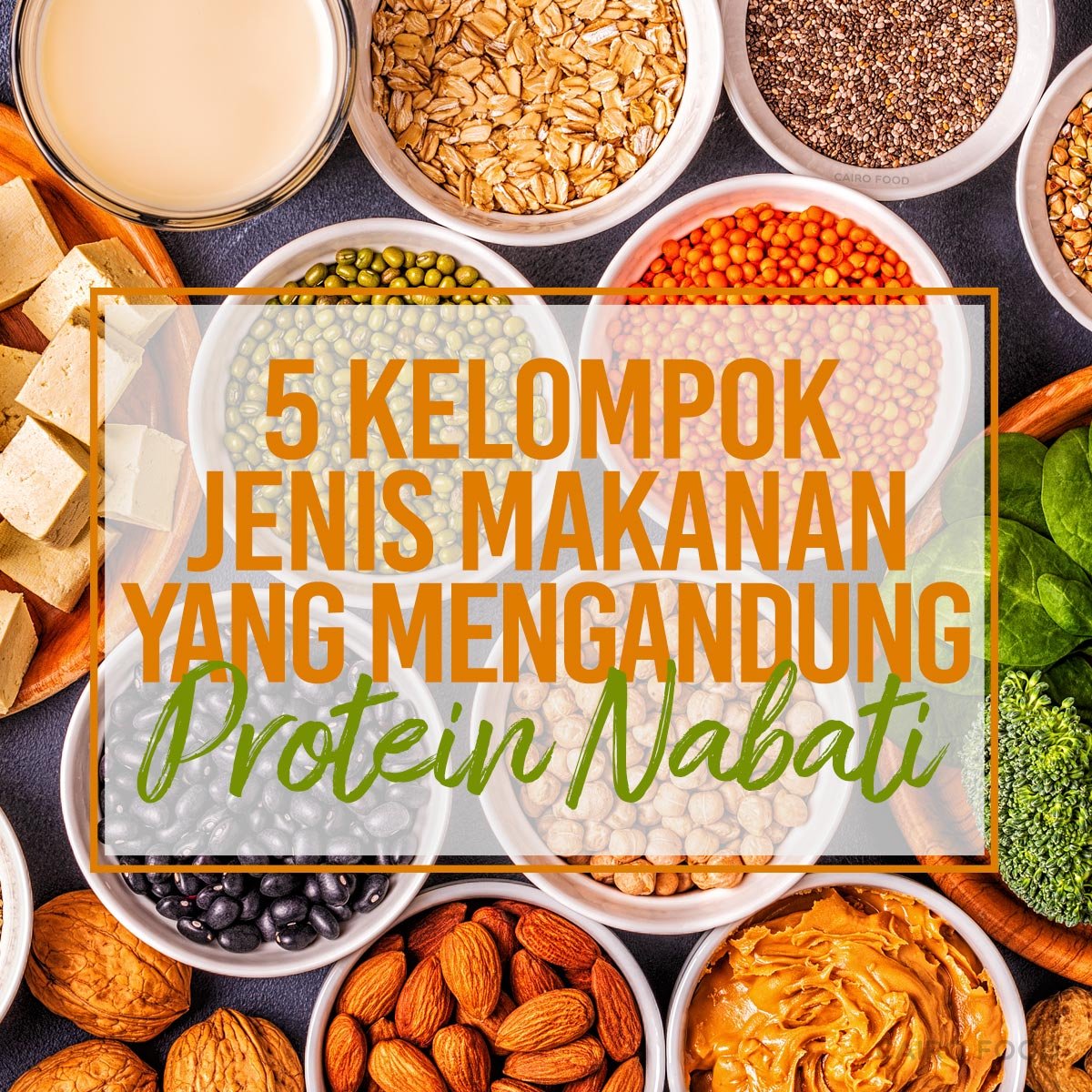 5 kelompok jenis makanan yang mengandung protein