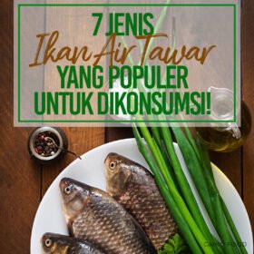 7 Jenis Ikan Air Tawar yang Populer Untuk Dikonsumsi!