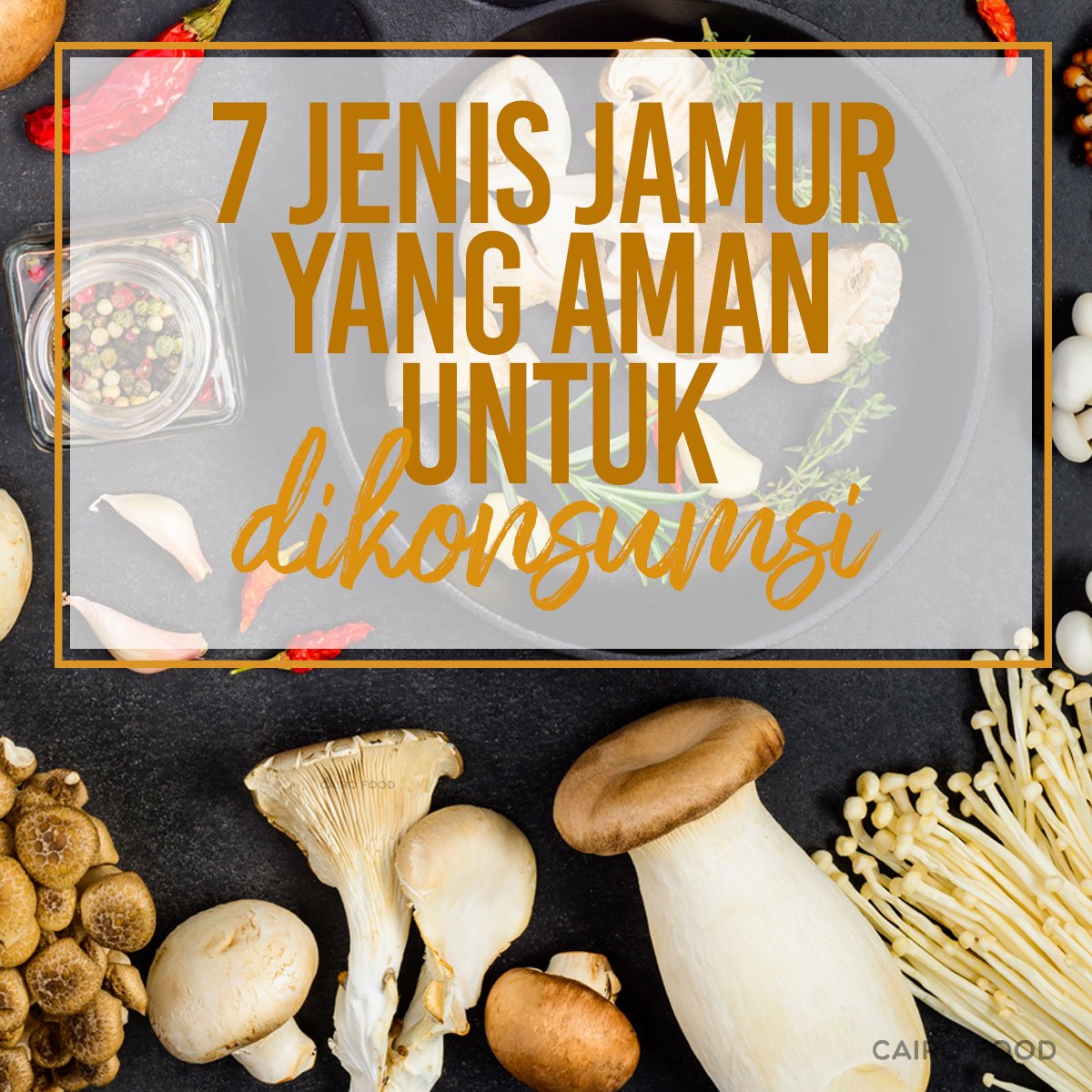 Mengenal Jenis Jenis Jamur Kayu Yang Aman Untuk Dikonsumsi Jual Hot