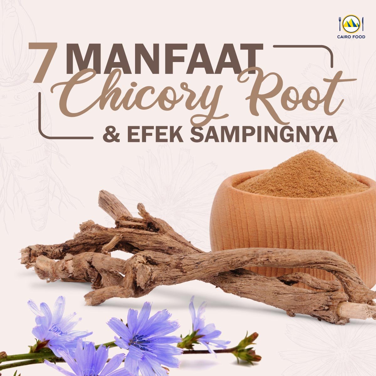 7 manfaat Chicory root dan efek sampingnya