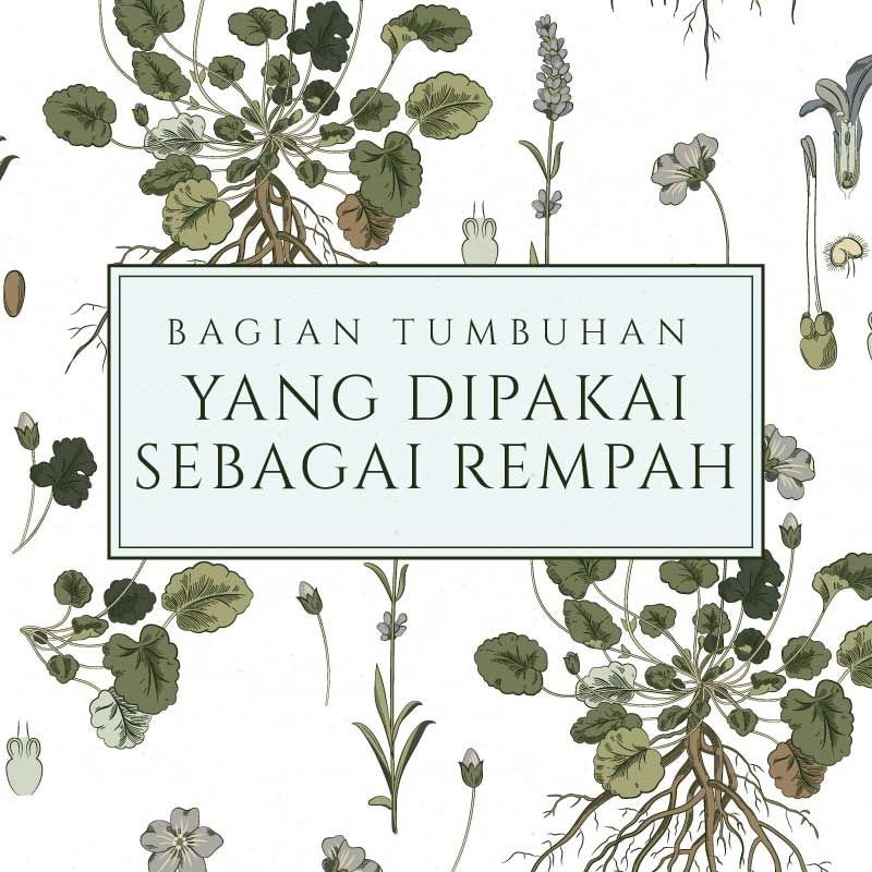 Bagian dari tumbuhan yang dipakai sebagai rempah