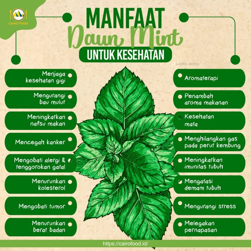 Manfaat Daun Mint untuk Pencernaan yang Sehat