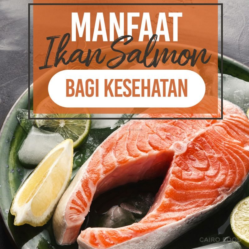 manfaat ikan salmon bagi kesehatan