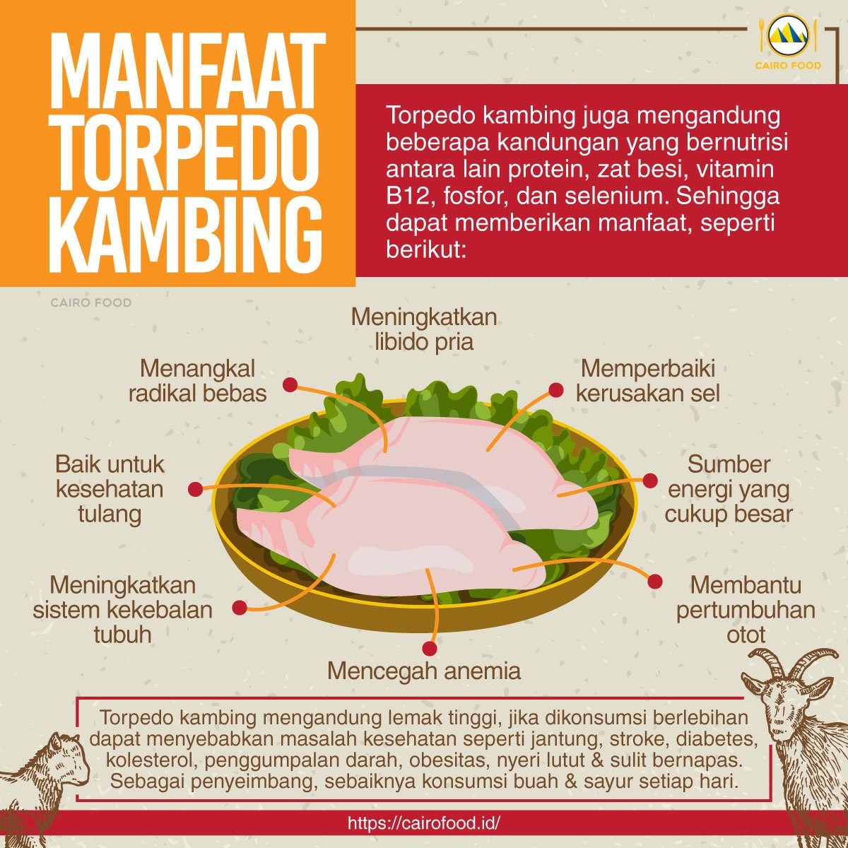 apa itu torpedo kambing berikut manfaatnya bagi kesehatan