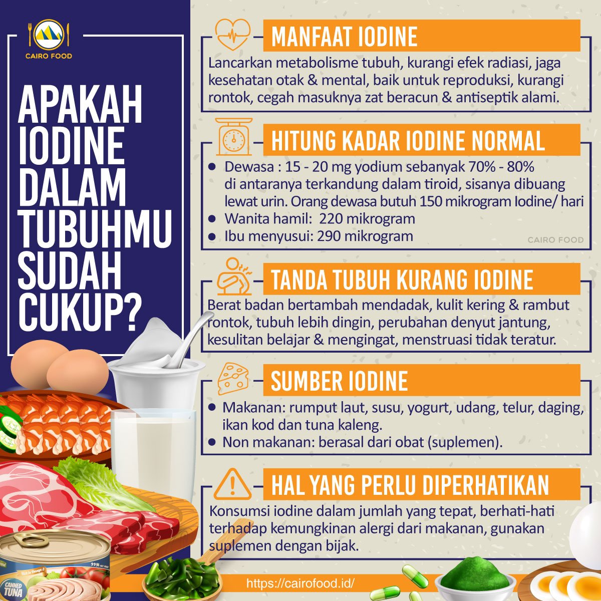 apakah kandungan iodine dalam tubuhmu sudah cukup