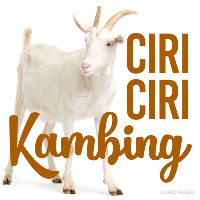 ciri ciri kambing