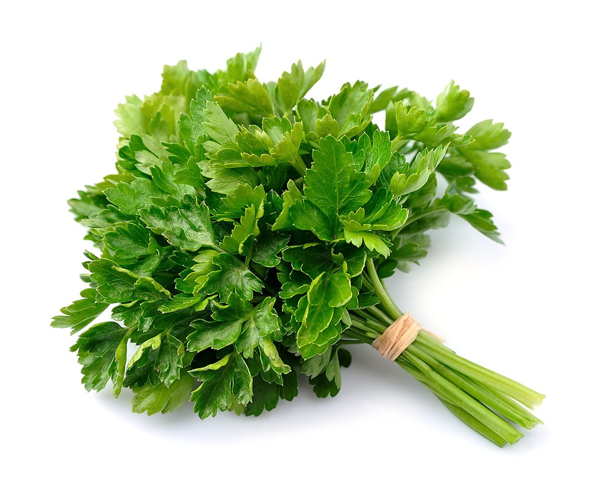 Daun Parsley