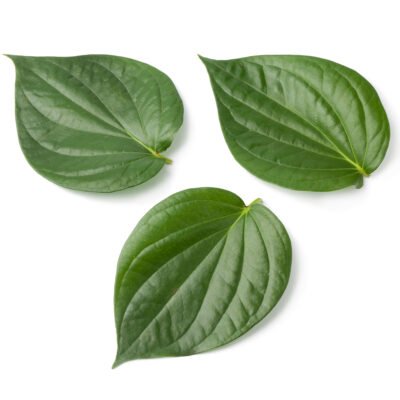 daun sirih