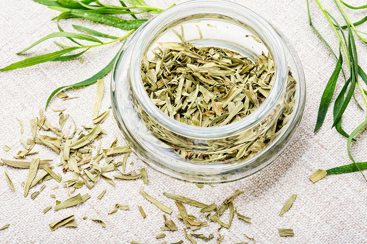 Gambar Tarragon