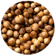Icon Biji Ketumbar