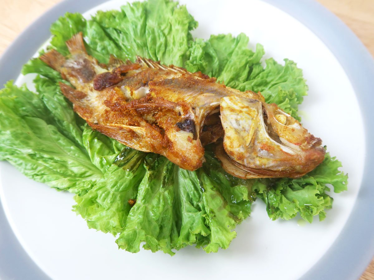 ikan