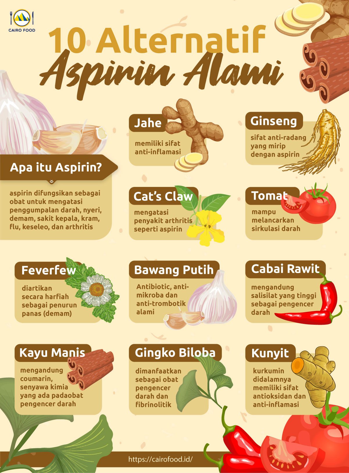 infografis 10 alternatif aspirin alami