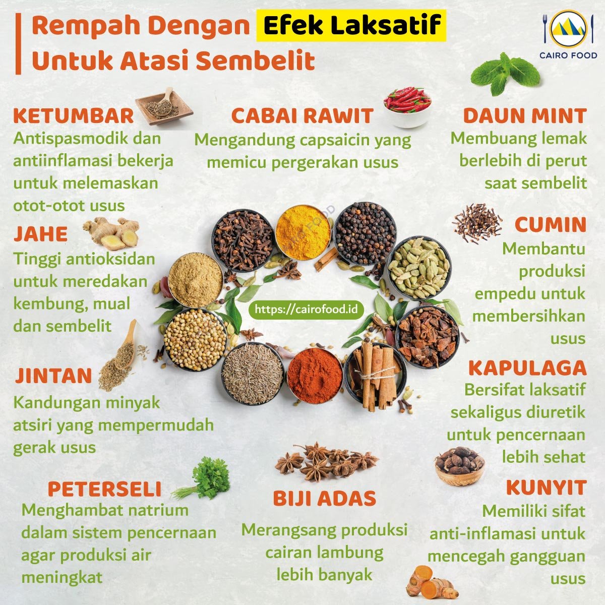 Infografis 10 Rempah Dengan Efek Laksatif Untuk Atasi Sembelit