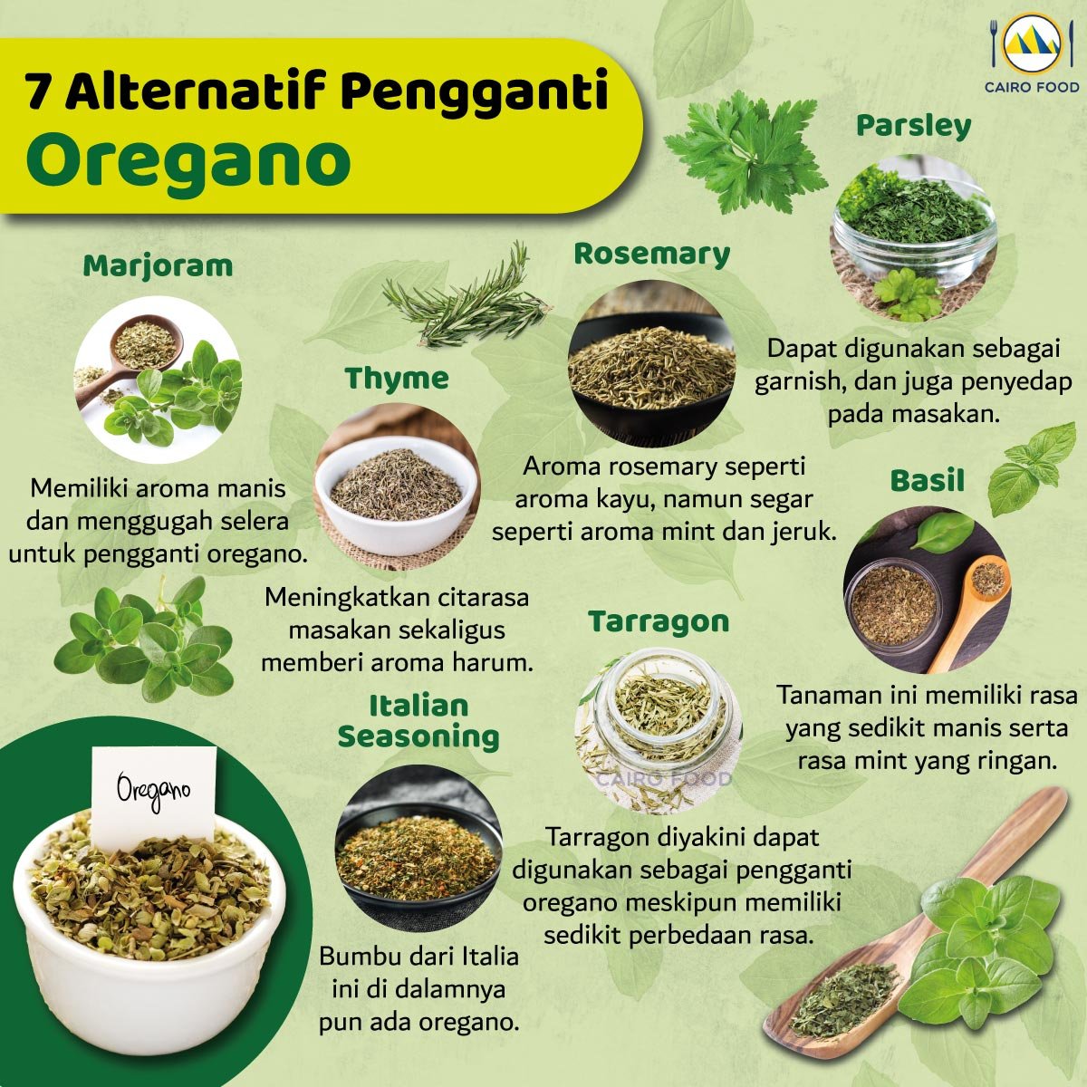 Infografis 7 Alternatif Pengganti Oregano