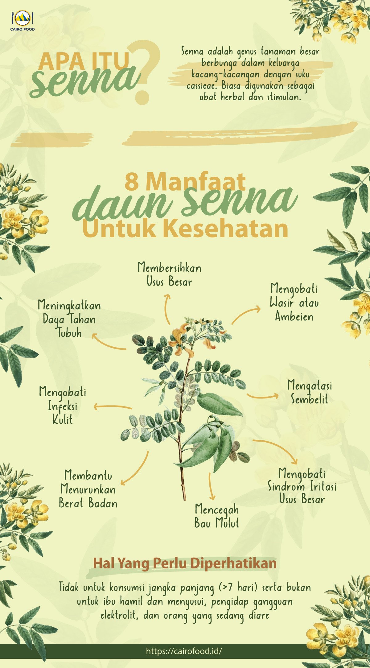 infografis 8 manfaat daun senna untuk kesehatan