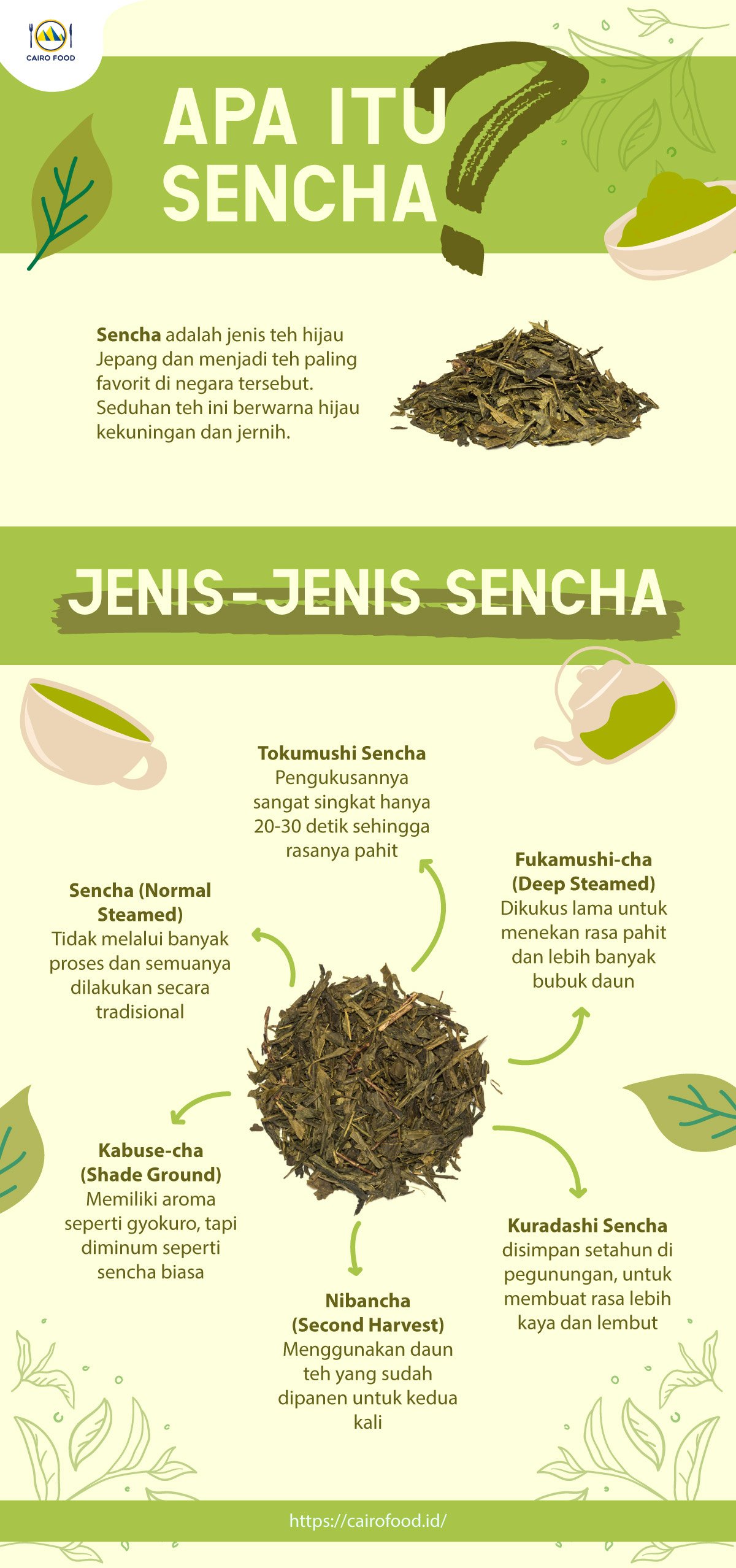 infografis pengertian dan jenis-jenis sencha