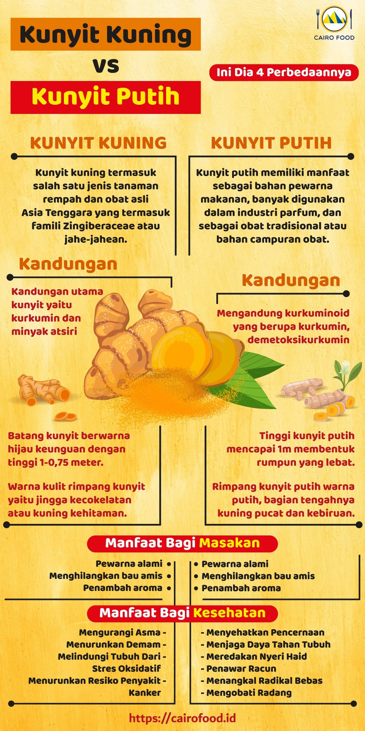 Infografis Kunyit Kuning vs Kunyit Putih, Ini Dia 4 Perbedaannya