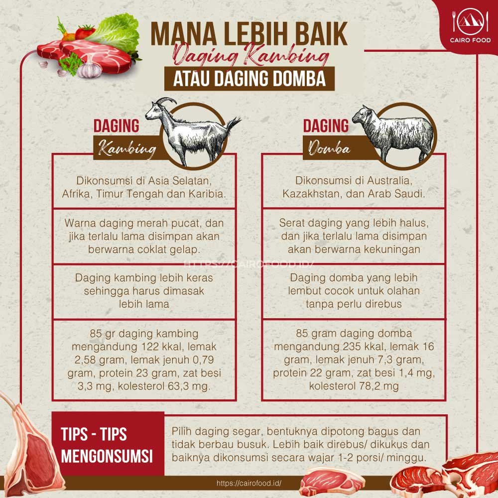 infografis mana lebih baik daging kambing atau daging domba