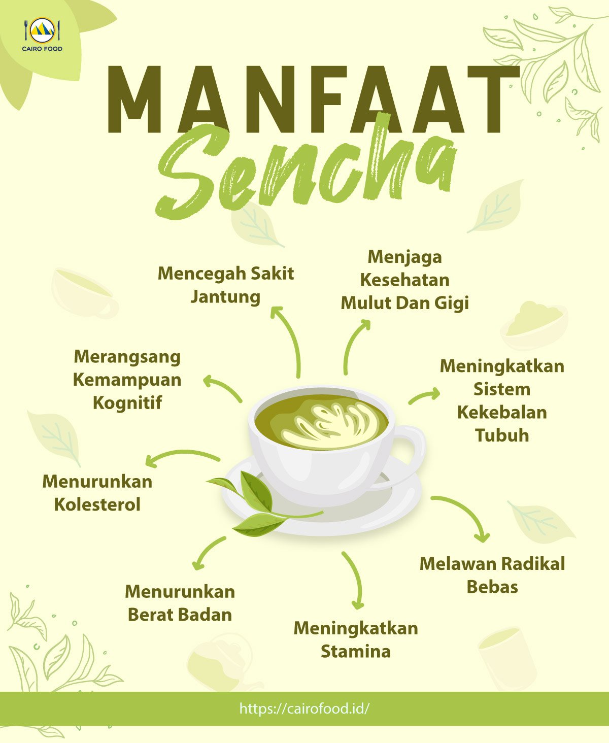 infografis manfaat sencha