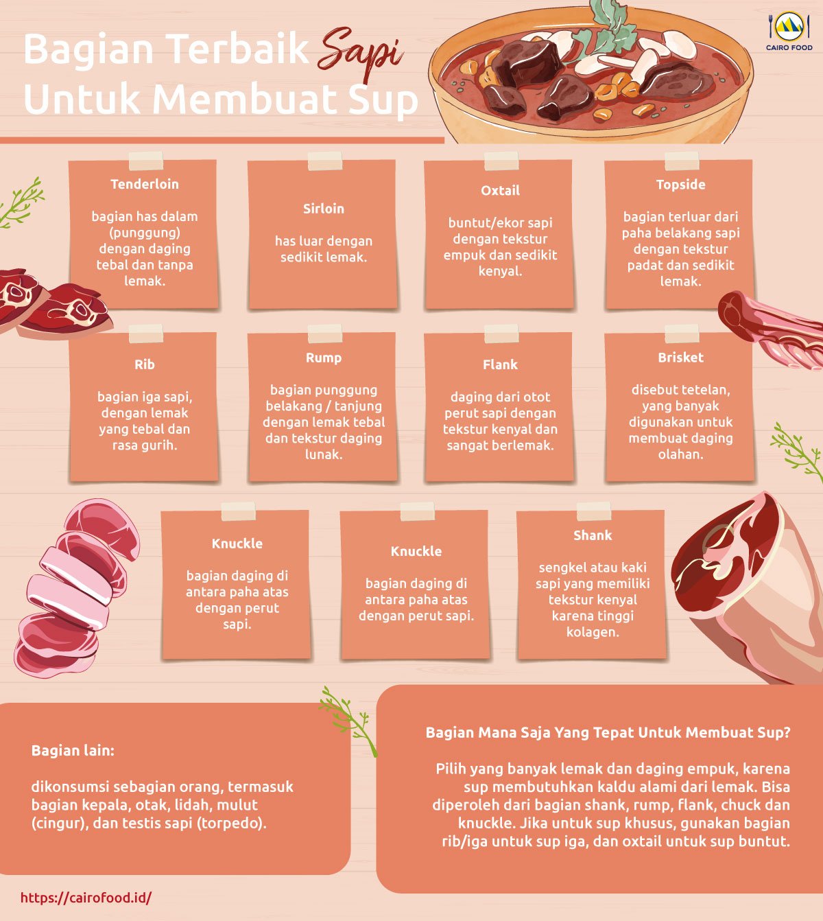 Infographic Bagian Terbaik Sapi Untuk Membuat Sup