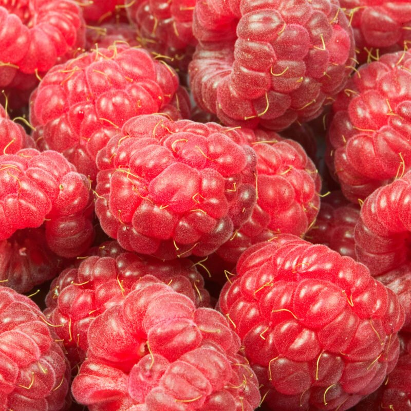 10 Manfaat Buah Raspberry Untuk Kesehatan