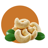 Kacang Mede