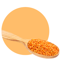 komposisi lentil kuning