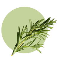 Rosemary