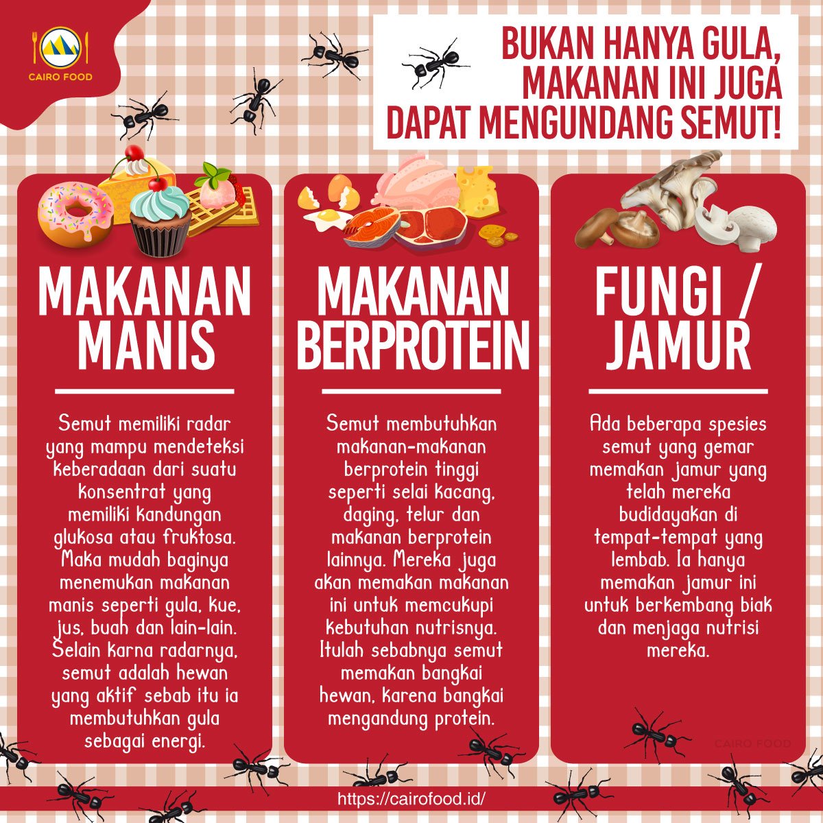 makanan yang dapat mengundang semut di rumah