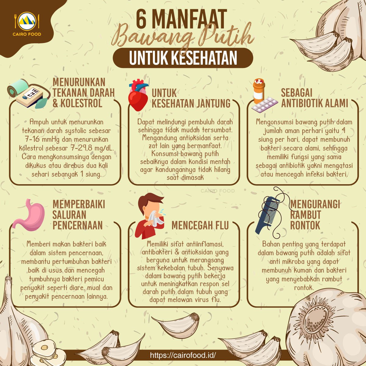 manfaat bawang putih