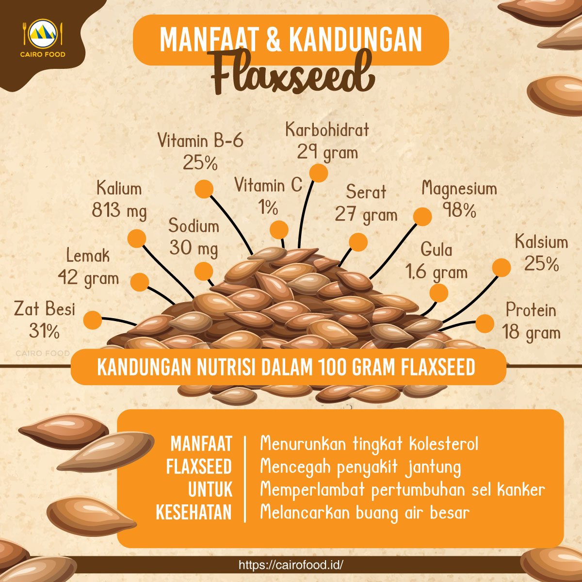 flaxseed biji kaya serat dengan segudang manfaat 