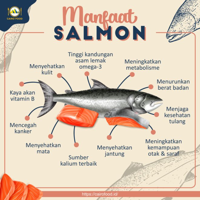 11 Manfaat Ikan Salmon Untuk Kesehatan Cairo Food