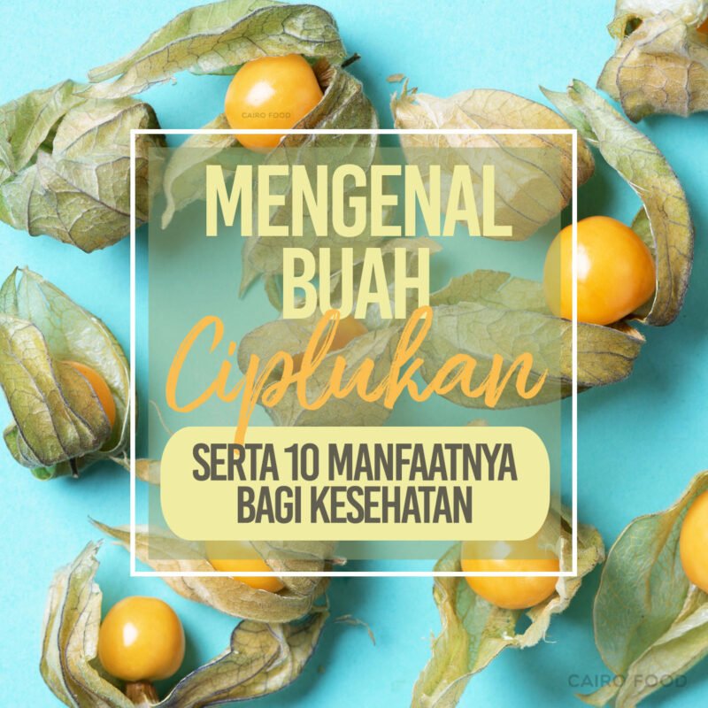 mengenal buah ciplukan serta 10 manfaatnya bagi kesehatan