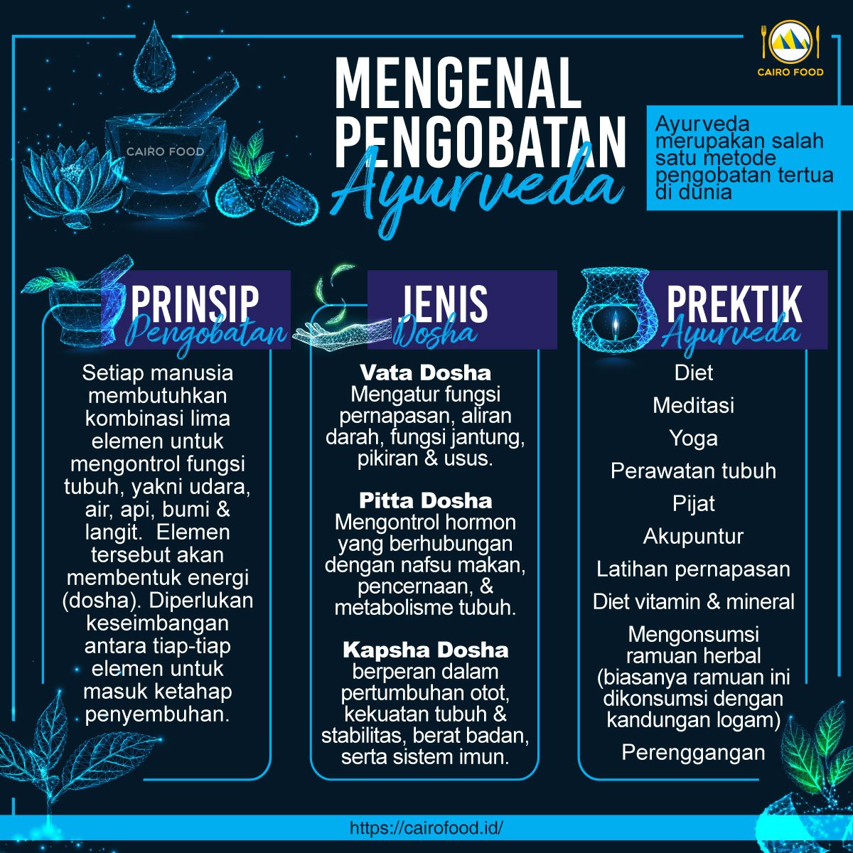 mengenal pengobatan ayurveda
