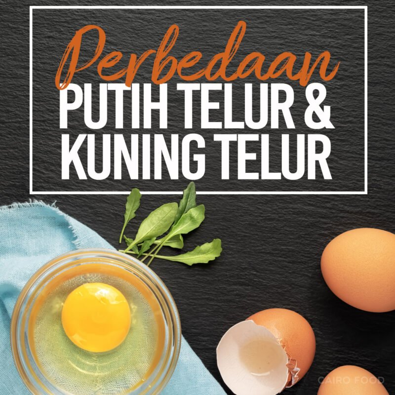 perbedaan putih telur dan kuning telur